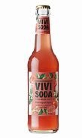 VIVI Bio Blutorangen/Ingwer 24/033 Har