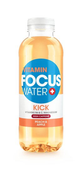 Focus Kick Pfirsich & Apfel PET 12/050 Kar