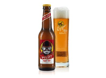 Egger Bier Pilot alkoholfrei 4x6x33cl EW 24/033 Kar