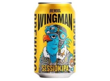 Brewdog Wingman Dose 6x4er 24/033 Kar